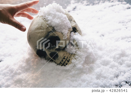 頭蓋骨 雪 42826541