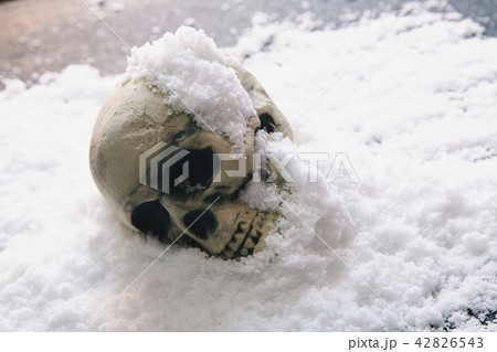 頭蓋骨 雪 頭蓋骨 雪 42826543