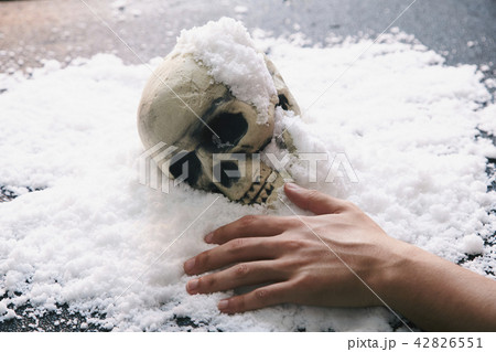 頭蓋骨 雪 頭蓋骨 雪 42826551