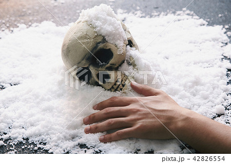 頭蓋骨 雪 42826554