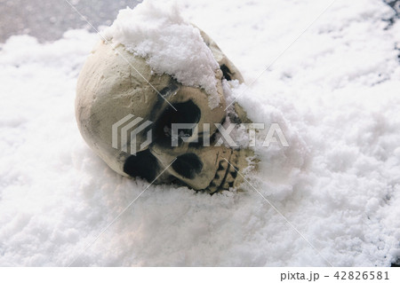 頭蓋骨 雪 頭蓋骨 雪 42826581