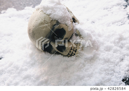 頭蓋骨 雪 頭蓋骨 雪 42826584