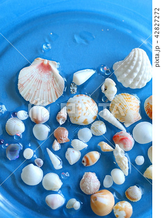夏の思い出ー海辺で貝殻集めの写真素材 [42827272] - PIXTA