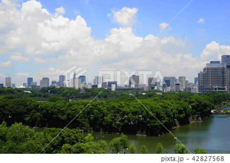 7月 日比谷08皇居前広場と日比谷濠 7月 日比谷08皇居前広場と日比谷濠 42827568