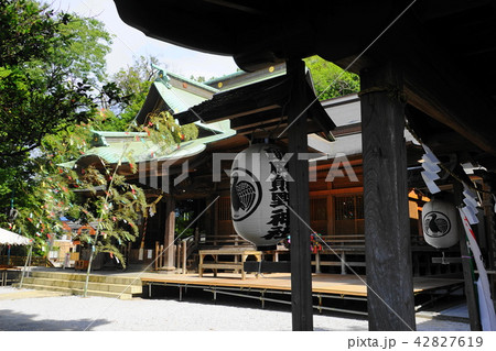 7月 横浜420社紋三足烏サッカー神社・師岡熊野神社 7月 横浜420社紋三足烏サッカー神社・師岡熊野神社 42827619