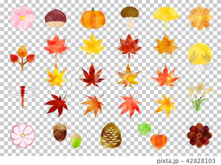Autumn Icon Set Watercolor Autumn Icon Set Watercolor 42828103
