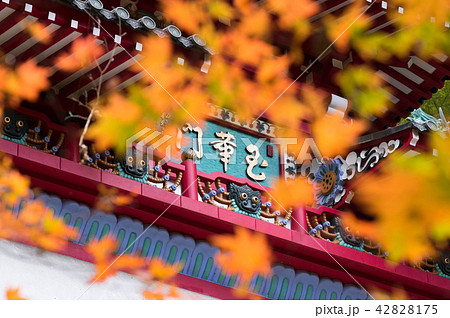 秋の鳥居観音 42828175