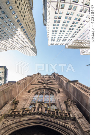 Wide angle upward view of Trinity Church at Broadway and Wall Street with surrounding skyscrapers Wide angle upward view of Trinity Church at Broadway and Wall Street with surrounding skyscrapers 42828447
