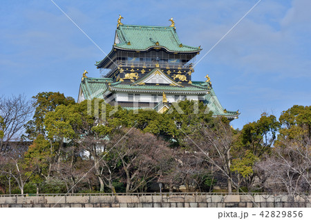 大阪城 42829856