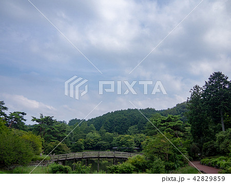 【伊豆】日本庭園の木橋【修善寺虹の郷】 42829859