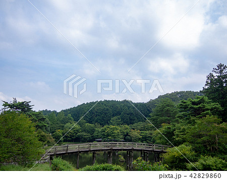 【伊豆】日本庭園の木橋【修善寺虹の郷】 42829860