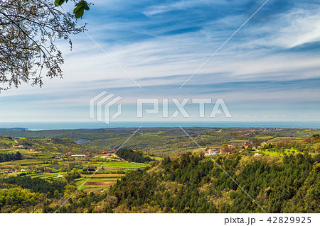 View of the mountainous landscape. 42829925