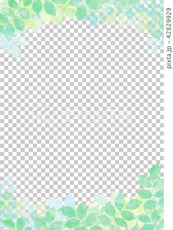 水彩觸樹葉框幼葉綠葉鮮綠 水彩觸樹葉框幼葉綠葉鮮綠 42829929