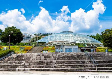 山梨県 笛吹川フルーツ公園 山梨県 笛吹川フルーツ公園 42830030