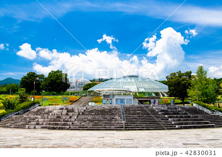 山梨県 笛吹川フルーツ公園 42830031