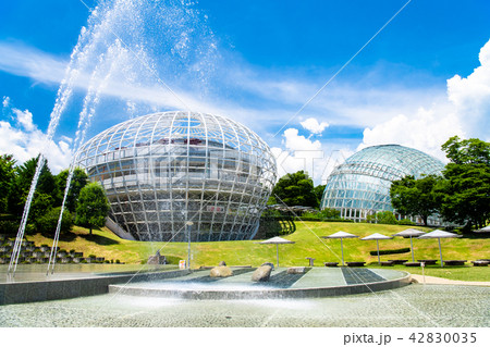 山梨県 笛吹川フルーツ公園 山梨県 笛吹川フルーツ公園 42830035