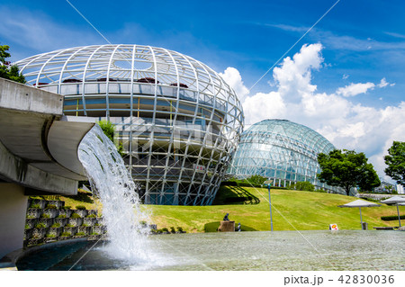 山梨県 笛吹川フルーツ公園 42830036