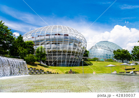 山梨県 笛吹川フルーツ公園 42830037