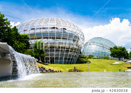 山梨県 笛吹川フルーツ公園 42830038