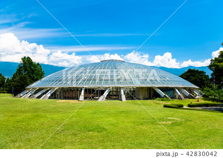 山梨県 笛吹川フルーツ公園 42830042