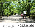 親子と並木道 42830160