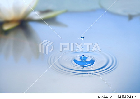 水滴 水滴 42830237