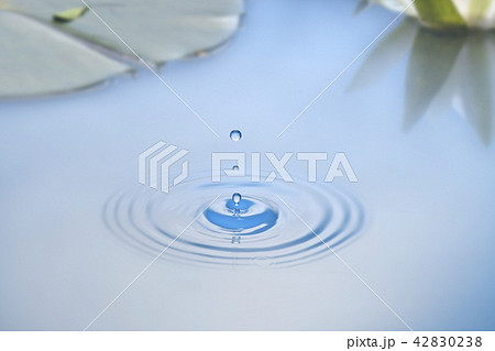 水滴 42830238