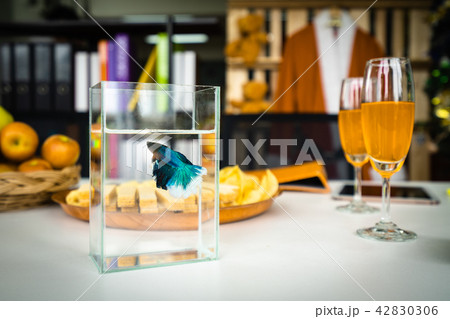 betta fish decor on table betta fish decor on table 42830306