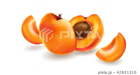 Apricot and slices 42831310