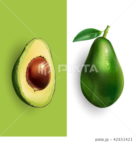 Avocado and slice illustration 42831421