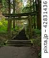 上色見熊野座神社　パワースポット　阿蘇 42831436