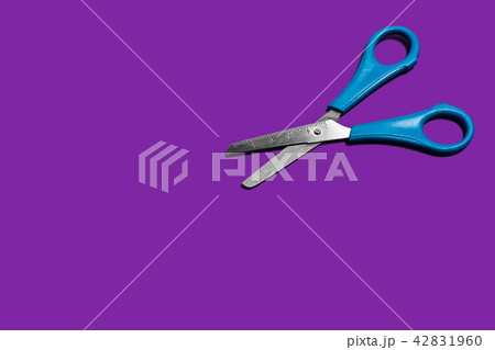 scissors on a purple background scissors on a purple background 42831960