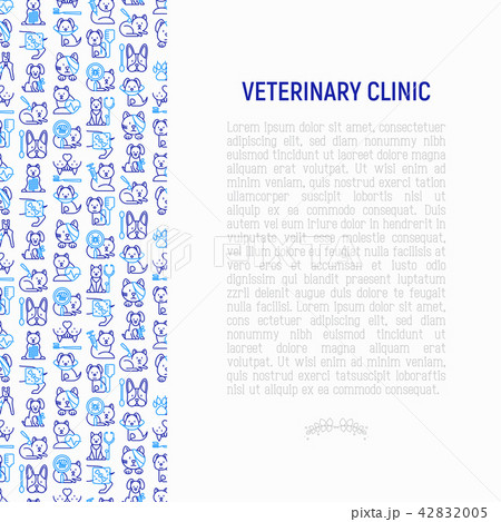 Veterinary clinic concept with thin line icons Veterinary clinic concept with thin line icons 42832005
