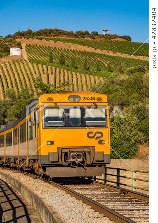 Train in vineyard Train in vineyard 42832404