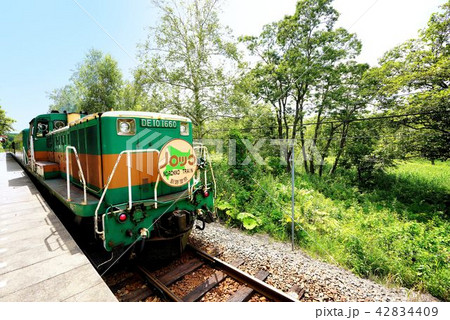 釧路湿原ノロッコ号 42834409