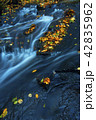 Mountain wood stream in an autumn forest 42835962