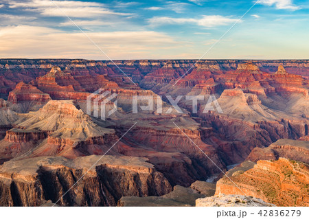 Grand Canyon Landscape 42836279