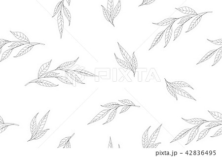 Floral pattern.  42836495