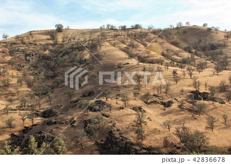かって西部劇のロケ地に使われたローンパイン(アラバマヒルズ)カリフォルニア アメリカ かって西部劇のロケ地に使われたローンパイン(アラバマヒルズ)カリフォルニア アメリカ 42836678