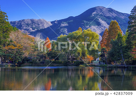 湯布院金鱗湖の紅葉 42837009