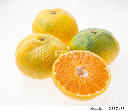 温室みかん 42837183