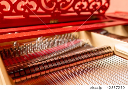 Strings inside a red grand piano. Piano playing, dampers, felt hammers, bronze strings and metal 42837250
