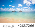 【ハワイ】ラニカイ　天国の海 42837266