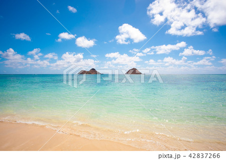 【ハワイ】ラニカイ 天国の海 【ハワイ】ラニカイ 天国の海 42837266