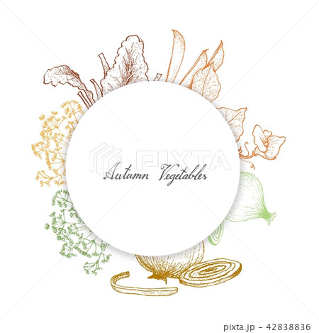 Hand Drawn of Autumn Vegetables and Herbs 42838836