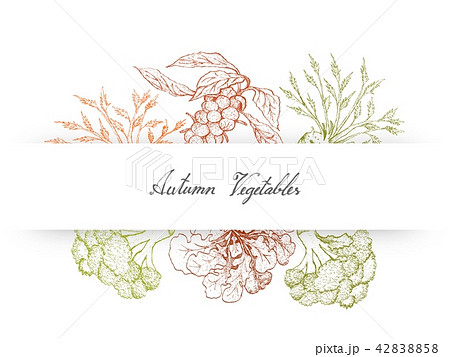 Brussels, Sprouts Broccoli and Celeriac Brussels, Sprouts Broccoli and Celeriac 42838858