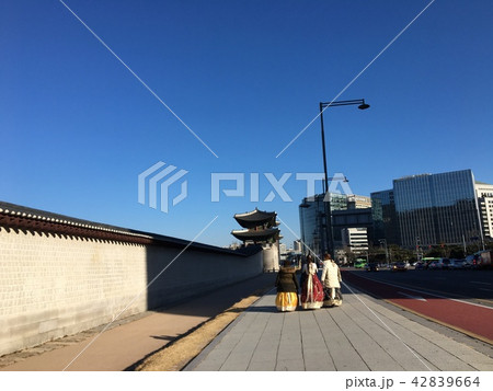 ドレスを着て韓国の街を歩く女の子たち ドレスを着て韓国の街を歩く女の子たち 42839664