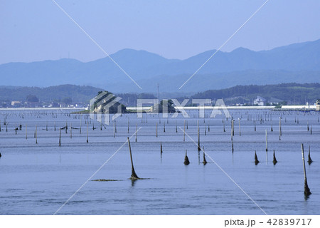 松川浦に浮かぶ島 42839717