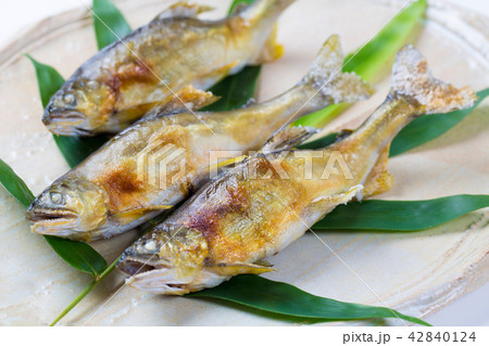 鮎の塩焼き 鮎の塩焼き 42840124