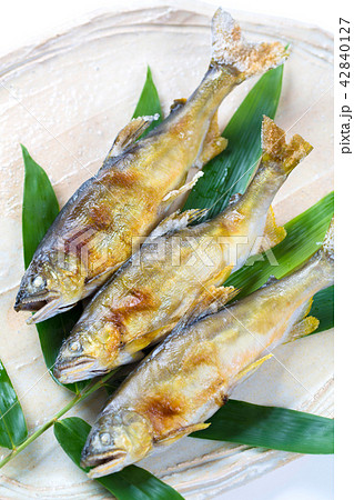 鮎の塩焼き 鮎の塩焼き 42840127